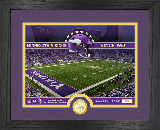 Minnesota Vikings NFL Stadium Bronze Coin Photo Mint