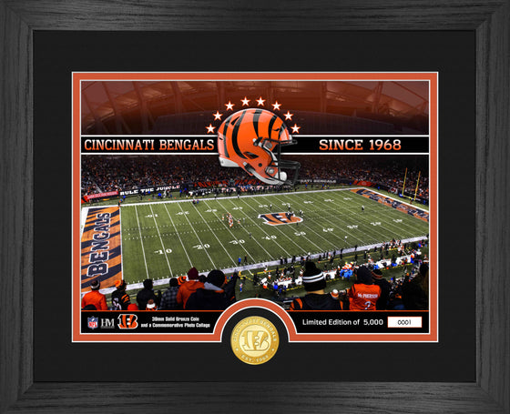 Cincinnati Bengals Stadium Bronze Coin Photo Mint