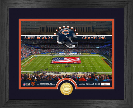 Chicago Bears Stadium Bronze Coin Photo Mint