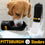 Pittsburgh Steelers Water Bottle by Pets First