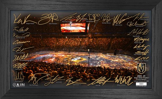 Vegas Golden Knights 2024-25 Signature Rink