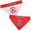 Boston Red Sox REVERSIBLE Dog Bandana Pets First