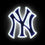 New York Yankees LED Neon Light Up Team Logo Sign