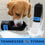 Tennessee Titans Water Bottle by Pets First