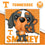 Smokey - Tennessee Volunteers Mascot 100 Piece Jigsaw Puzzle - 757 Sports Collectibles