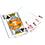 Tennessee Volunteers 300 Piece Poker Set - 757 Sports Collectibles