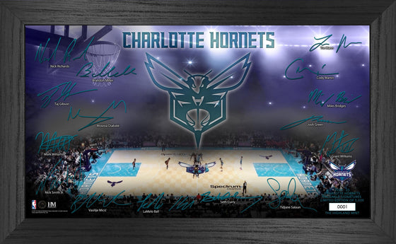 Charlotte Hornets 2024-25 Signature Court