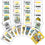 Iowa Hawkeyes Fan Deck Playing Cards - 54 Card Deck - 757 Sports Collectibles