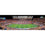 Florida Gators - 1000 Piece Panoramic Jigsaw Puzzle - 757 Sports Collectibles