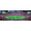 Minnesota Vikings - 1000 Piece Panoramic Jigsaw Puzzle - 757 Sports Collectibles