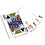 Baltimore Ravens 300 Piece Poker Set - 757 Sports Collectibles