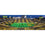 Iowa Hawkeyes - 1000 Piece Panoramic Jigsaw Puzzle - 757 Sports Collectibles