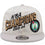 Boston Celtics New Era 2024 NBA Champions 9FIFTY Locker Room Snapback Hat