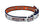 Houston Astros Reversible Collar Pets First