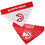 Atlanta Hawks Reversible Bandana Pets First