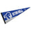 College Flags & Banners Co. Seton Hall Pirates Pennant - 757 Sports Collectibles