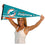 WinCraft Miami Dolphins Pennant Banner Flag - 757 Sports Collectibles