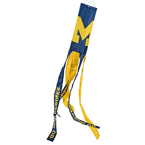 College Flags & Banners Co. Michigan Windsock - 757 Sports Collectibles