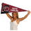 College Flags & Banners Co. South Carolina Gamecocks Pennant Full Size Felt - 757 Sports Collectibles