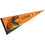 College Flags & Banners Co. Florida A&M Pennant Full Size Felt - 757 Sports Collectibles