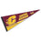 College Flags & Banners Co. Central Michigan Chippewas Pennant Full Size Felt - 757 Sports Collectibles