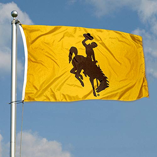 College Flags & Banners Co. Wyoming Gold Flag - 757 Sports Collectibles