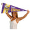 WinCraft Minnesota Vikings Throwback Vintage Retro Pennant Flag - 757 Sports Collectibles