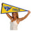 College Flags & Banners Co. Embry Riddle Eagles Pennant - 757 Sports Collectibles