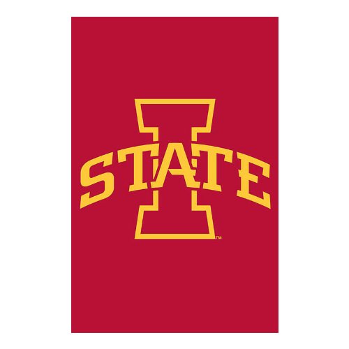 Team Sports America NCAA Iowa State Cyclones 17.5" x 12.5" Applique Garden Flag - Cardinal - 757 Sports Collectibles