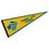 College Flags & Banners Co. Saint Leo Lions Pennant - 757 Sports Collectibles