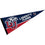 College Flags & Banners Co. Liberty Flames Pennant Full Size Felt - 757 Sports Collectibles