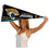 WinCraft Jacksonville Jaguars Pennant Banner Flag - 757 Sports Collectibles