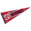 WinCraft Washington Nationals Large Pennant - 757 Sports Collectibles
