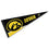 College Flags & Banners Co. Iowa Hawkeyes Pennant Full Size Felt - 757 Sports Collectibles