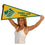 College Flags & Banners Co. Saint Leo Lions Pennant - 757 Sports Collectibles