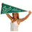 College Flags & Banners Co. USF Bulls Pennant Full Size Felt - 757 Sports Collectibles