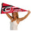 WinCraft Carolina Hurricanes Pennant - 757 Sports Collectibles