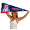 College Flags & Banners Co. Arizona Wildcats Pennant Full Size Felt - 757 Sports Collectibles