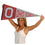 Ohio State Buckeyes Pennant Throwback Vintage Banner - 757 Sports Collectibles