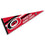 WinCraft Carolina Hurricanes Pennant - 757 Sports Collectibles