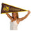 College Flags & Banners Co. Rowan Profs Pennant - 757 Sports Collectibles