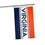 FOCO NCAA Virginia Cavaliers Unisex Double Sided 3' x 5' Team Logo Horizontal Flag, Horizontal 3' x 5', One Size - 757 Sports Collectibles