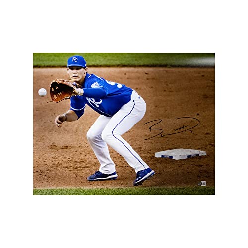 Bobby Witt Jr Autographed Kansas City 16x20 Photo - BAS (Catching) - 757 Sports Collectibles