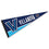 College Flags & Banners Co. Villanova Pennant Full Size Felt - 757 Sports Collectibles