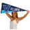 College Flags & Banners Co. Villanova Pennant Full Size Felt - 757 Sports Collectibles