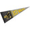 Iowa Hawkeyes Pennant Throwback Vintage Banner - 757 Sports Collectibles