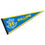 Rollins College Tars Pennant - 757 Sports Collectibles