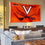 Virginia Cavaliers ACC 3x5 Flag - 757 Sports Collectibles