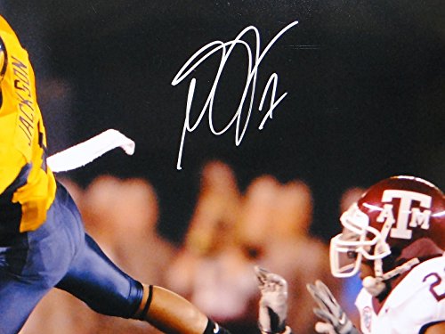 DeSean Jackson Autographed 16x20 Catch Against Texas AM Photo- JSA W Auth - 757 Sports Collectibles