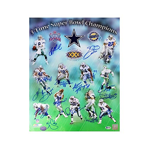 Cowboys 3x Super Bowl Champs Autographed 16x20 Photo - BAS LOA (15 Autos) - 757 Sports Collectibles